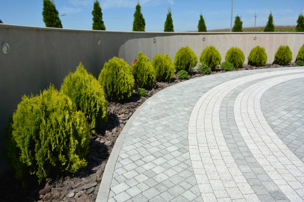 Best Local Driveway Pavers  in Lakeside, TX